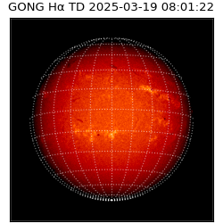 gong - 2025-03-19T08:01:22