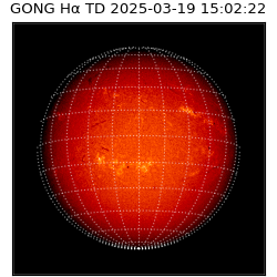 gong - 2025-03-19T15:02:22