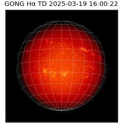 gong - 2025-03-19T16:00:22