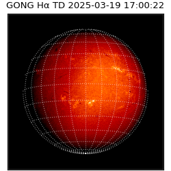 gong - 2025-03-19T17:00:22