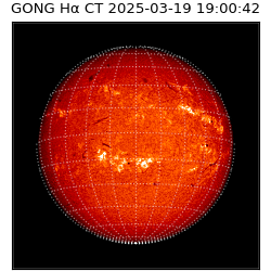 gong - 2025-03-19T19:00:42