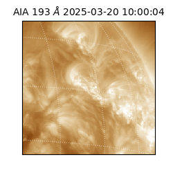 saia - 2025-03-20T10:00:04.843000