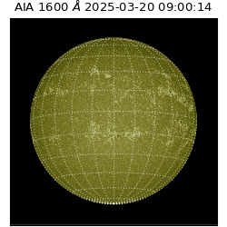 saia - 2025-03-20T09:00:14.126000