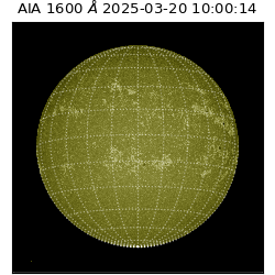 saia - 2025-03-20T10:00:14.126000