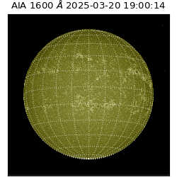 saia - 2025-03-20T19:00:14.126000