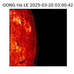 gong - 2025-03-20T03:00:42