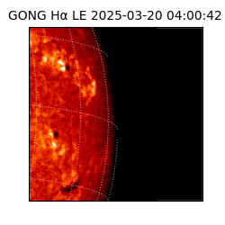 gong - 2025-03-20T04:00:42