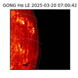 gong - 2025-03-20T07:00:42