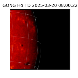 gong - 2025-03-20T08:00:22