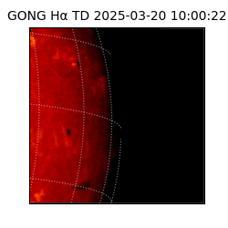 gong - 2025-03-20T10:00:22