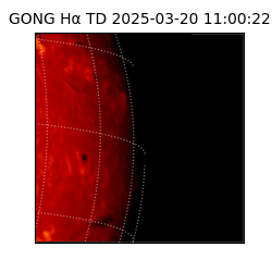 gong - 2025-03-20T11:00:22