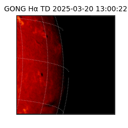 gong - 2025-03-20T13:00:22