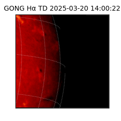 gong - 2025-03-20T14:00:22