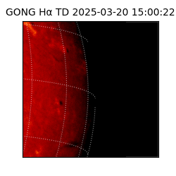 gong - 2025-03-20T15:00:22