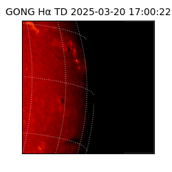 gong - 2025-03-20T17:00:22
