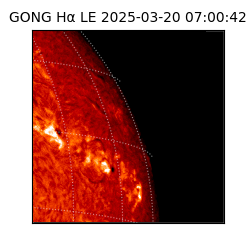 gong - 2025-03-20T07:00:42