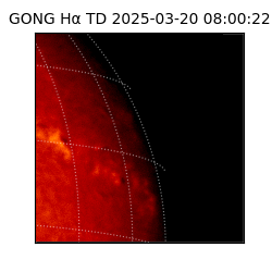 gong - 2025-03-20T08:00:22