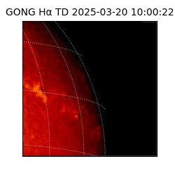 gong - 2025-03-20T10:00:22