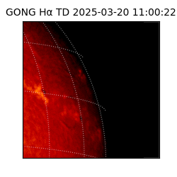 gong - 2025-03-20T11:00:22