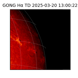 gong - 2025-03-20T13:00:22