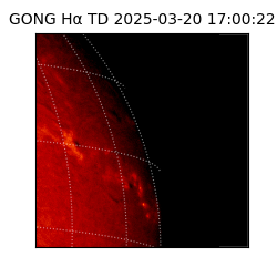 gong - 2025-03-20T17:00:22