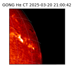 gong - 2025-03-20T21:00:42