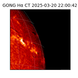 gong - 2025-03-20T22:00:42