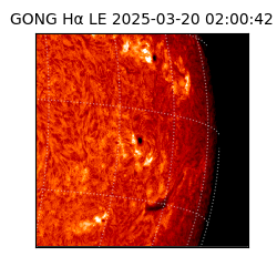 gong - 2025-03-20T02:00:42