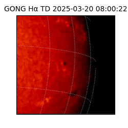gong - 2025-03-20T08:00:22