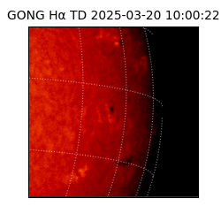 gong - 2025-03-20T10:00:22