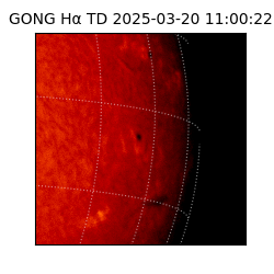 gong - 2025-03-20T11:00:22