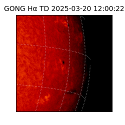 gong - 2025-03-20T12:00:22