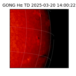 gong - 2025-03-20T14:00:22