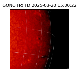 gong - 2025-03-20T15:00:22