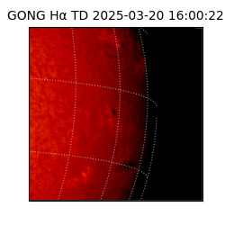 gong - 2025-03-20T16:00:22