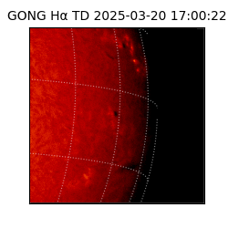 gong - 2025-03-20T17:00:22