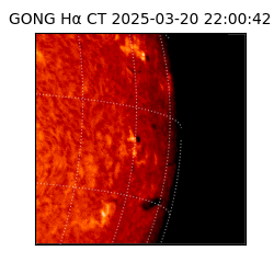 gong - 2025-03-20T22:00:42