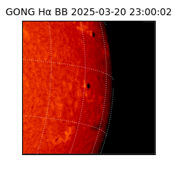 gong - 2025-03-20T23:00:02