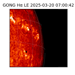 gong - 2025-03-20T07:00:42