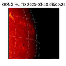 gong - 2025-03-20T08:00:22