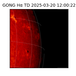 gong - 2025-03-20T12:00:22