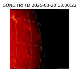 gong - 2025-03-20T13:00:22