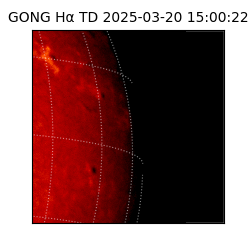 gong - 2025-03-20T15:00:22