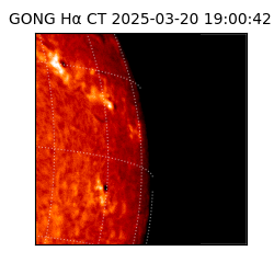 gong - 2025-03-20T19:00:42