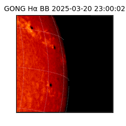 gong - 2025-03-20T23:00:02