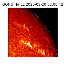 gong - 2025-03-20T02:00:42
