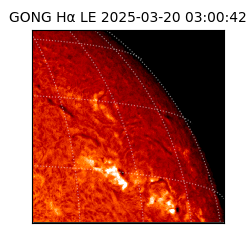 gong - 2025-03-20T03:00:42