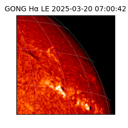 gong - 2025-03-20T07:00:42