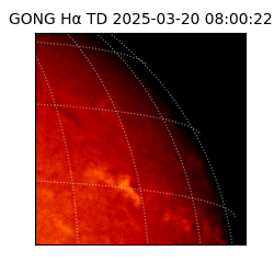 gong - 2025-03-20T08:00:22