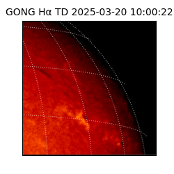 gong - 2025-03-20T10:00:22